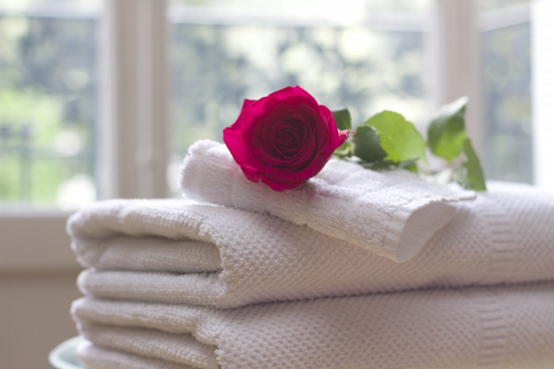 chambre-hote-TOUET DE L ESCARENE-min_towel_rose_clean_care_salon_spa_white_bath-731641